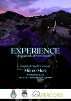 Experience