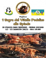1ª Sagra del Vitello podolico allo spiedo